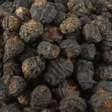 Tigernuts Fekete XXL Tigrismogyoró 12,5kg (14-24mm)