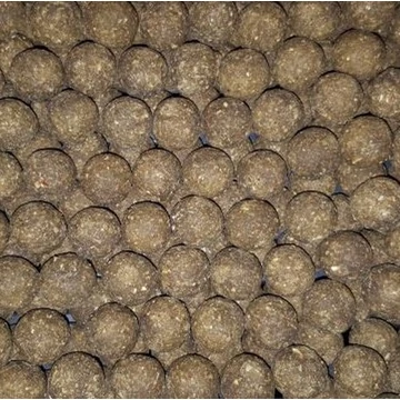 Horse Baits Mussel Bojli Hard 1kg 24mm