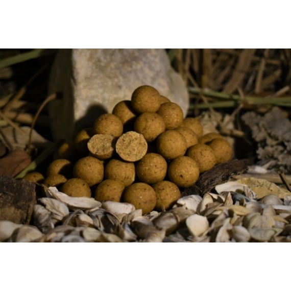 Balaton Baits Marple & Nuts Boilie 28mm 1 kg - mogyorós, juharos ízesítésű prémium bojli