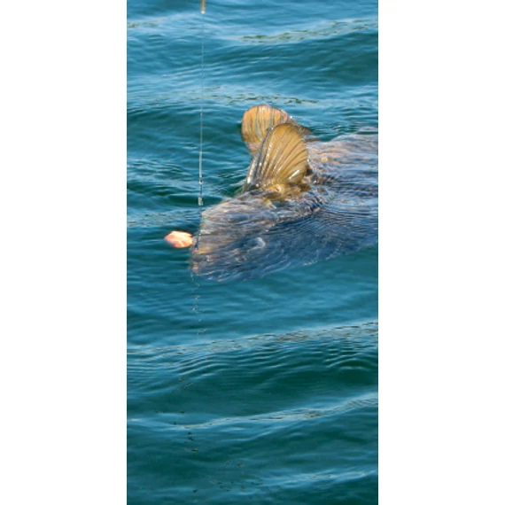 Carp 'R' Us Clearwater Fluorocarbon 15lb - előkezsinór 20 méter