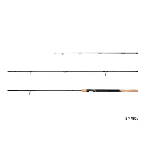 Delphin NIRVANA FDR + 3 spicc 12ft/80g