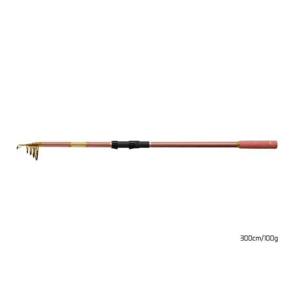 Delphin Telszkópos Bot QUEEN Tele 300cm/100g