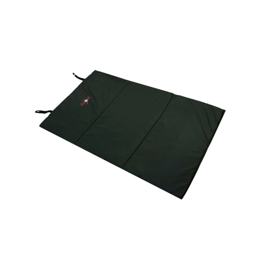 Carp Zoom Standard Pontymatrac