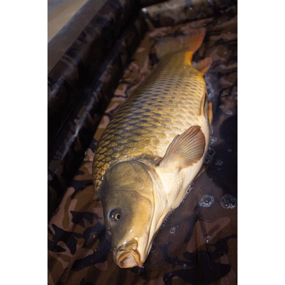 FOX Carpmaster AIR Mat Felfújható Pontybölcső