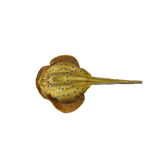 EnergoTeam Halas Párna Rája Baby