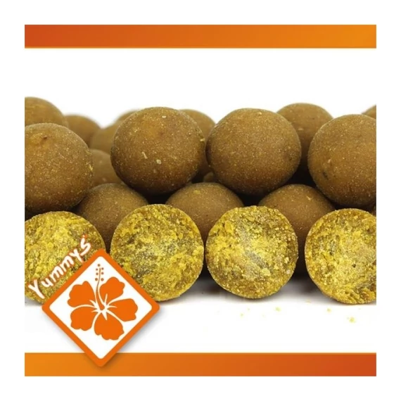 Imperial Baits Carptrack Osmotic Oriental Spice Boilie - Bojli - 16mm/1kg