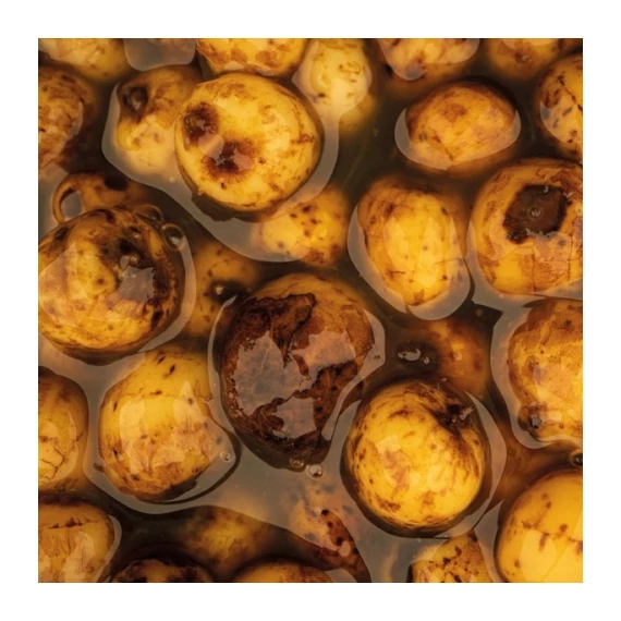 Nash Főzött Tigrismogyoró Sweet Tiger Nuts