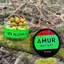 Feedermania Wafters Venom Amur (40g) - 12mm