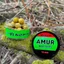 Feedermania Wafters Venom Amur (40g) - 16mm