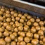 Imperial Baits CarpTrack LPP Bojli (1kg) - 19-21mm