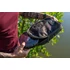 Korda Compac Scales Pouch Dark Kamo - mérleg táska dark kamo színben