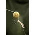 PB Products Shrimp Aligner Pink - álcázott horogbefordító