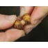 Carp Spirit Cork Boilie Drill Parafa Bojli Fúró (6mm)