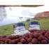 Dynamite Baits bojli Fluro Pop Ups & Dumbells The Source