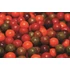 Dynamite Baits Bojli CarpTec Strawberry Bojli (20mm/2kg)
