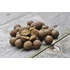 Dynamite Baits Bojli Hot Fish & GLM Bojli (26mm/350g)
