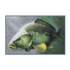 Delphin 3D carp szőnyeg