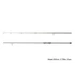 Delphin IMPALA Carper Bojlis Bot 10ft (300cm) 2 részes - 2,75lbs