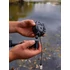 Fox Black Label QR Buzzer Bar 2 Rod Narrow Buzzbar (2 botos)