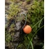 Fox Edges Előkötött Horog Spinner Rig (3db)