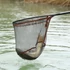 Guru Landing net Competition 500 Merítőhálófej