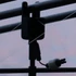Gardner BUG Chains swinger lánc (fekete)