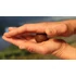 Imperial Baits Carptrack Liquid & Powder Paste Horogpaszta (180g)