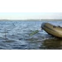 Imperial Baits Fender Expander Kit Gyorscsatlakozós Csónak Kötél