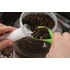Mainline Power+ Particle Hemp With The CELL Főtt Kender