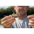 Matrix inline Maggot Feeder Small 25g Kosár