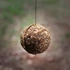 Nash Ball Maker Etetőgombóc Készítő (30mm)