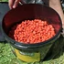 SBS M1 Bomb Pellet Mix (10-20mm/5kg)